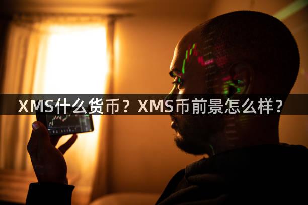 XMS什么货币？XMS币前景怎么样？