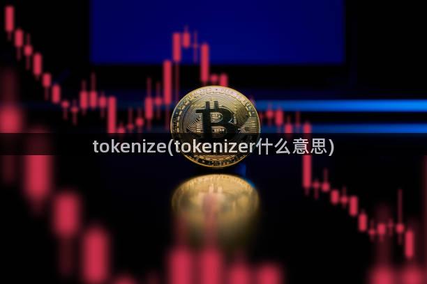 tokenize(tokenizer什么意思)