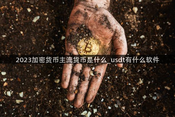 2023加密货币主流货币是什么_usdt有什么软件