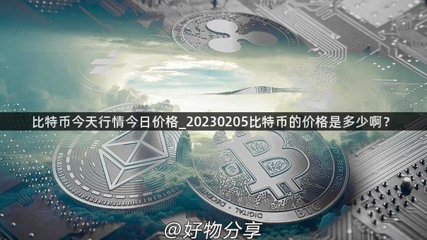 比特币今天行情今日价格_20230205比特币的价格是多少啊？