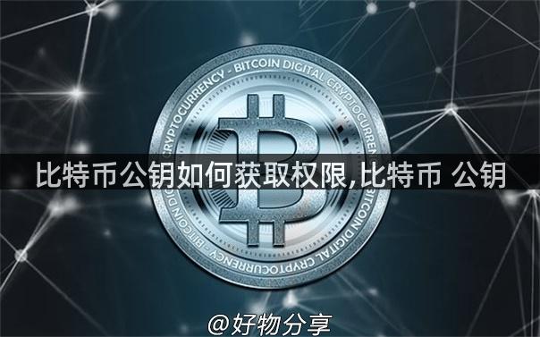 比特币公钥如何获取权限,比特币 公钥