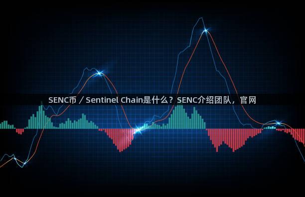 SENC币／Sentinel Chain是什么？SENC介绍团队，官网