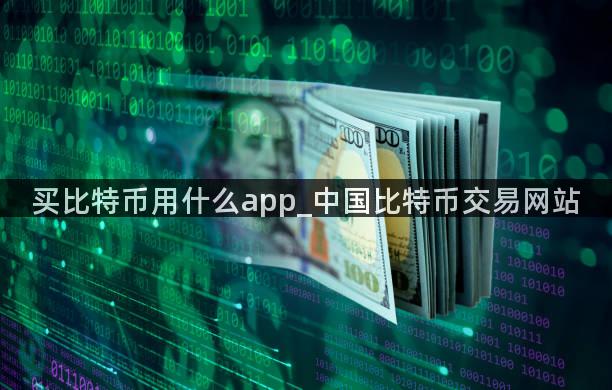 买比特币用什么app_中国比特币交易网站