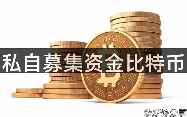 私自募集资金比特币