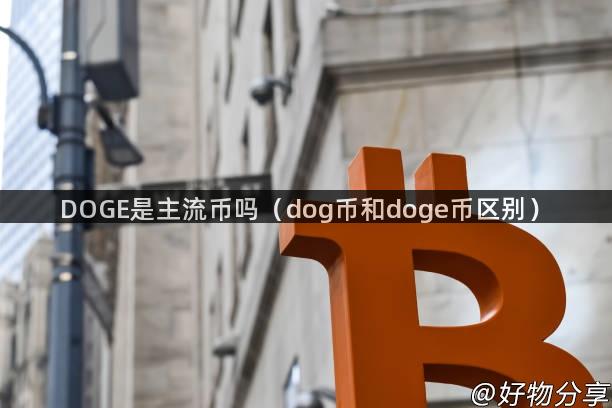 DOGE是主流币吗（dog币和doge币区别）