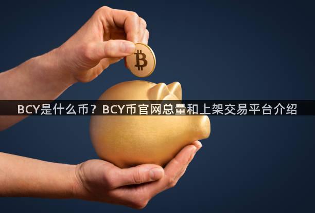 BCY是什么币？BCY币官网总量和上架交易平台介绍