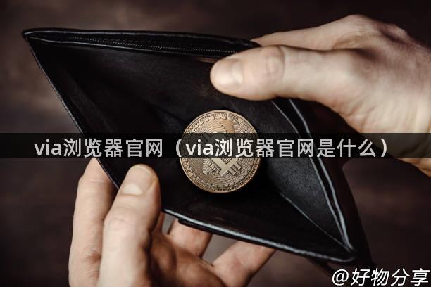 via浏览器官网（via浏览器官网是什么）