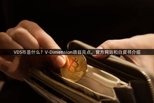 VDS币是什么？V-Dimension项目亮点，官方网站和白皮书介绍