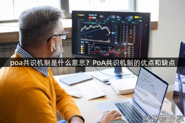 poa共识机制是什么意思？PoA共识机制的优点和缺点