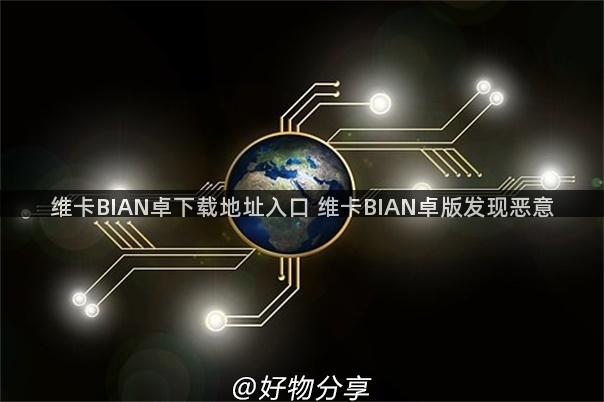 维卡BIAN卓下载地址入口 维卡BIAN卓版发现恶意