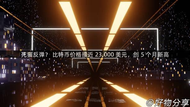 死猫反弹？ 比特币价格接近 23,000 美元，创 5 个月新高