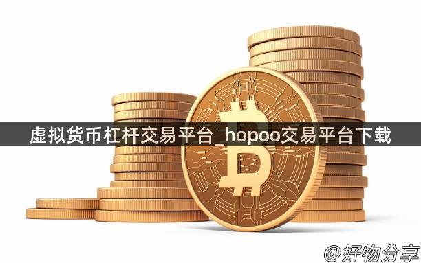 虚拟货币杠杆交易平台_hopoo交易平台下载