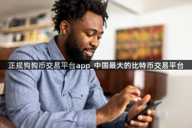 正规狗狗币交易平台app_中国最大的比特币交易平台