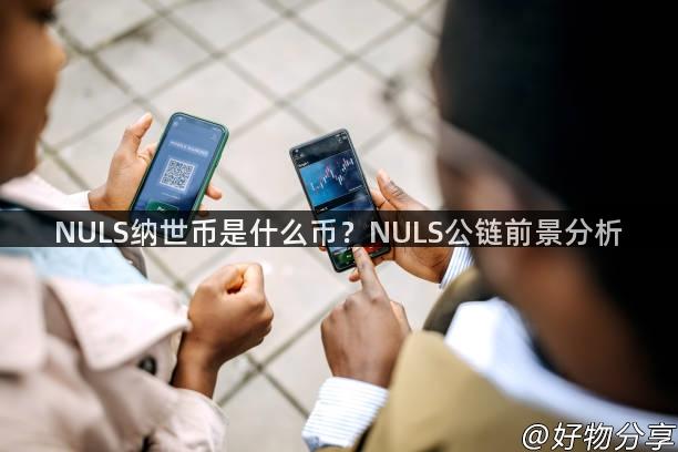 NULS纳世币是什么币？NULS公链前景分析