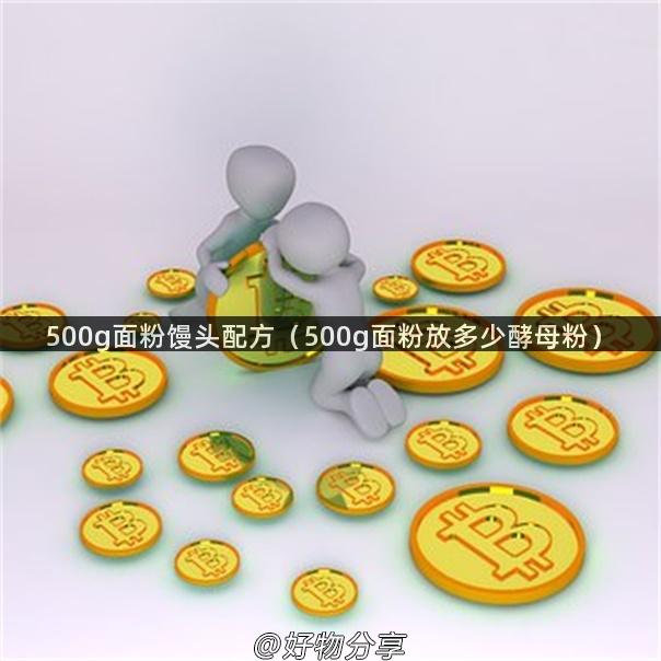 500g面粉馒头配方（500g面粉放多少酵母粉）