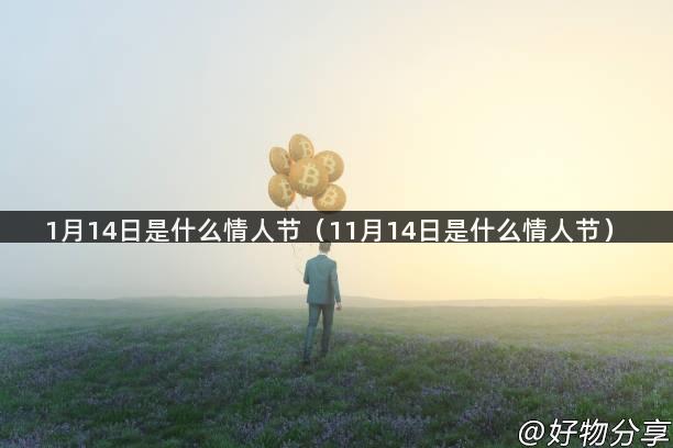 1月14日是什么情人节（11月14日是什么情人节）