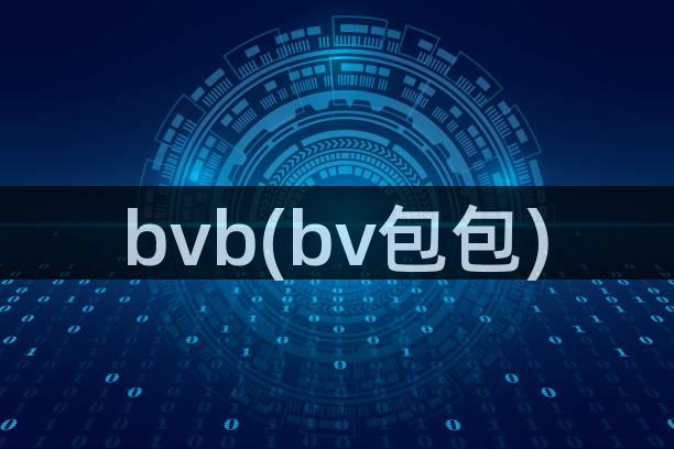 bvb(bv包包)