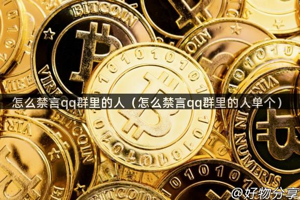 怎么禁言qq群里的人（怎么禁言qq群里的人单个）