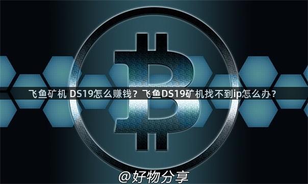 飞鱼矿机 DS19怎么赚钱？飞鱼DS19矿机找不到ip怎么办？