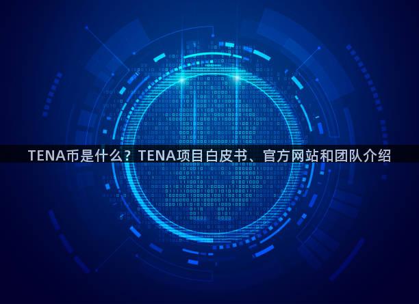 TENA币是什么？TENA项目白皮书、官方网站和团队介绍