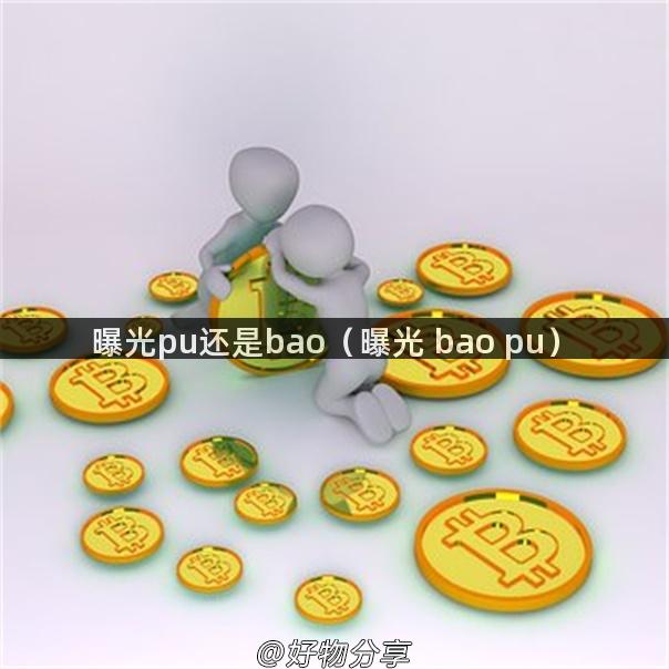 曝光pu还是bao（曝光 bao pu）