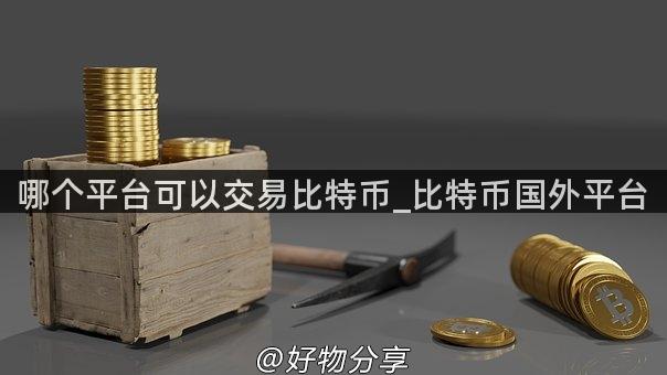 哪个平台可以交易比特币_比特币国外平台