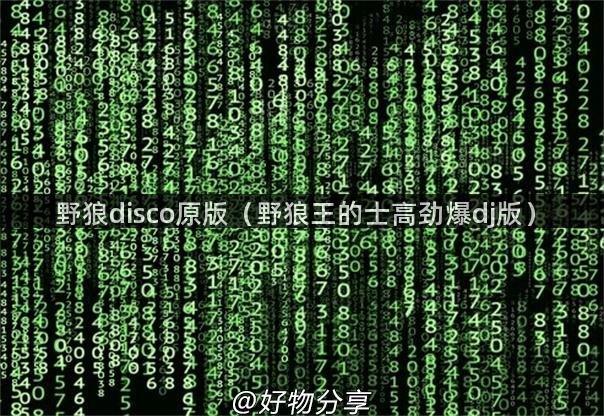 野狼disco原版（野狼王的士高劲爆dj版）