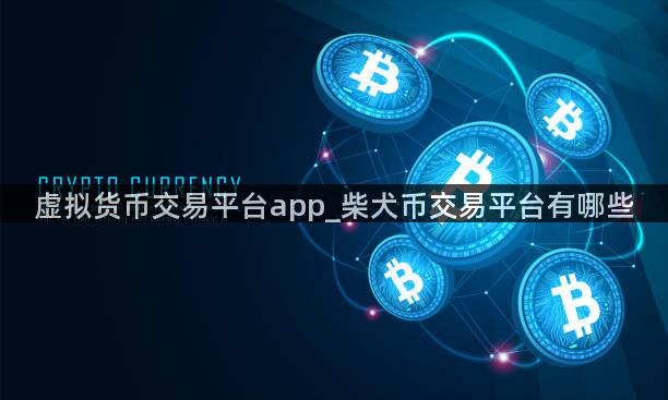 虚拟货币交易平台app_柴犬币交易平台有哪些