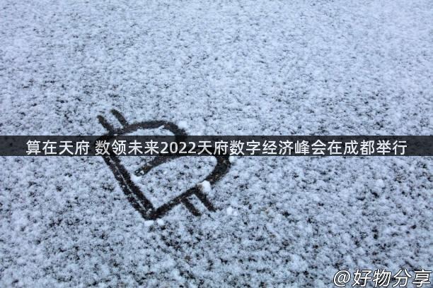 算在天府 数领未来2022天府数字经济峰会在成都举行