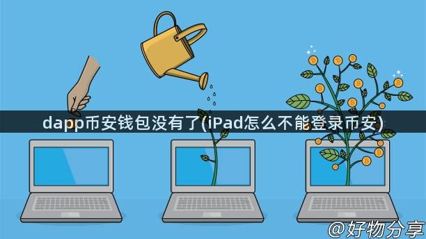 dapp币安钱包没有了(iPad怎么不能登录币安)