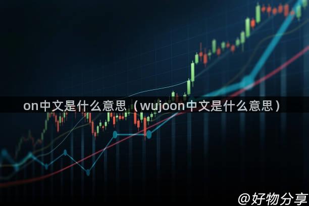 on中文是什么意思（wujoon中文是什么意思）