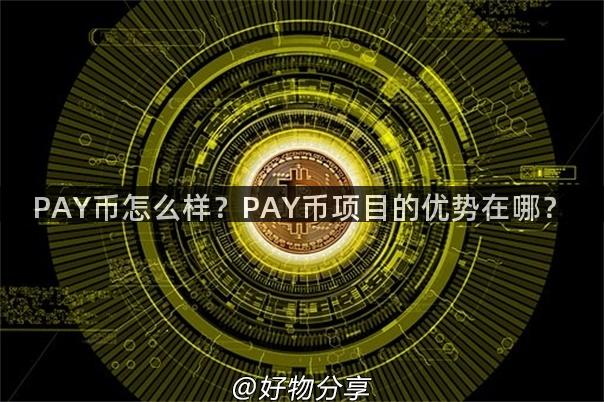 PAY币怎么样？PAY币项目的优势在哪？