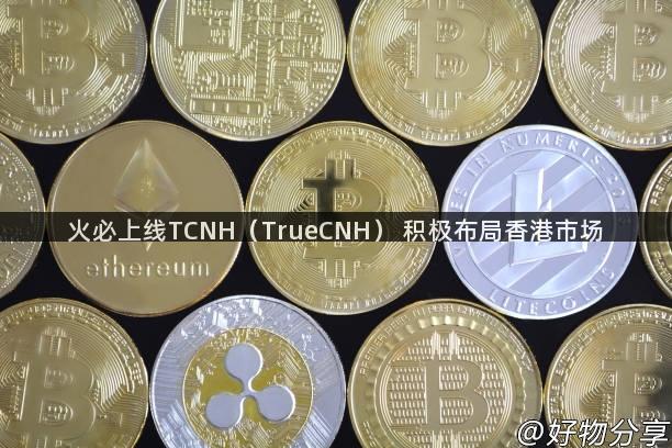 火必上线TCNH（TrueCNH） 积极布局香港市场