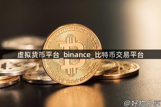 虚拟货币平台_binance_比特币交易平台