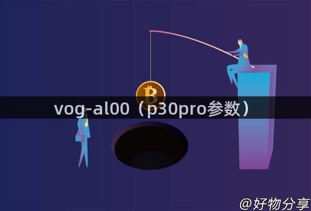 vog-al00（p30pro参数）