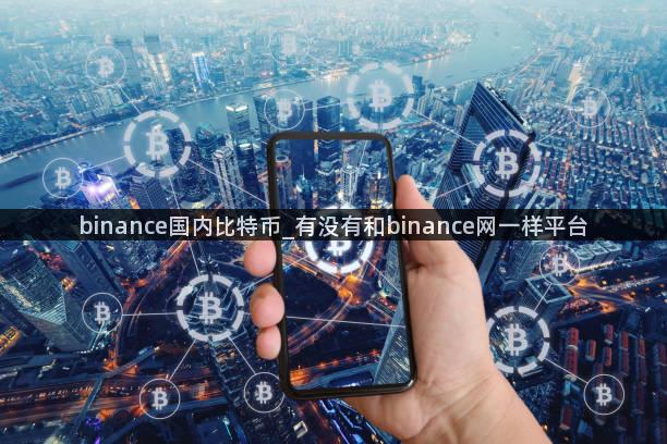 binance国内比特币_有没有和binance网一样平台