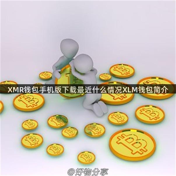 XMR钱包手机版下载最近什么情况XLM钱包简介