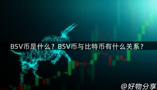 BSV币是什么？BSV币与比特币有什么关系？