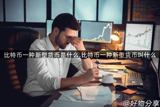 比特币一种新型货币是什么,比特币一种新型货币叫什么