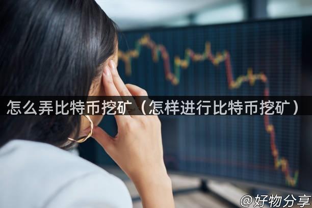 怎么弄比特币挖矿（怎样进行比特币挖矿）