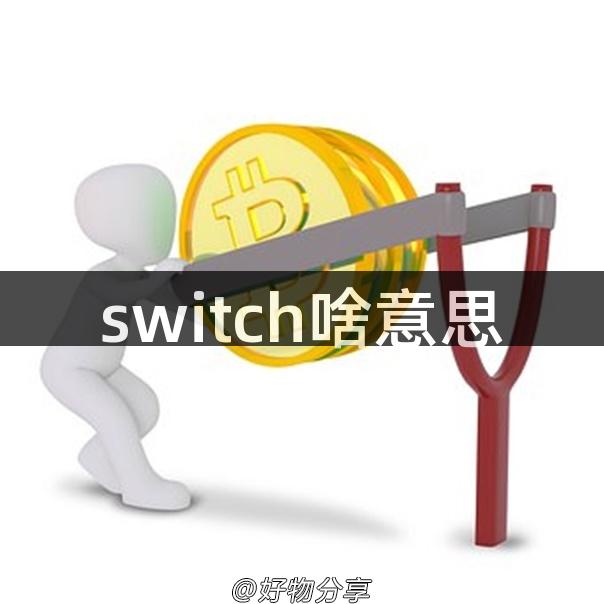 switch啥意思