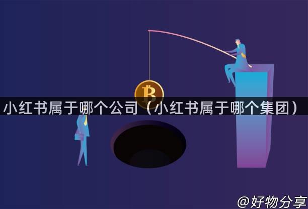 小红书属于哪个公司（小红书属于哪个集团）