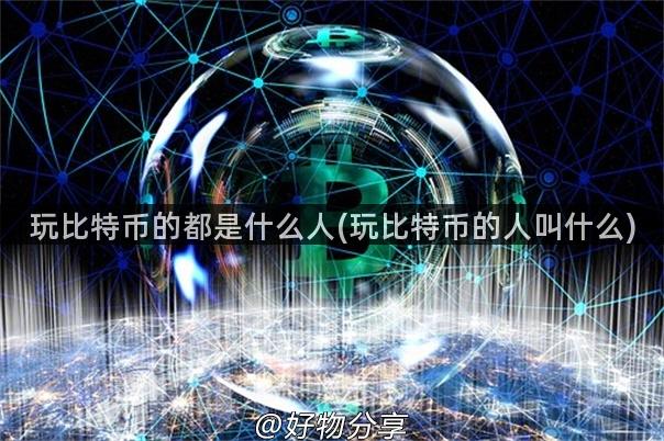 玩比特币的都是什么人(玩比特币的人叫什么)