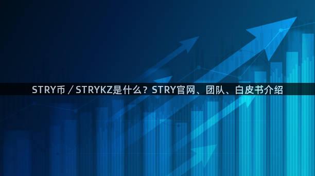 STRY币／STRYKZ是什么？STRY官网、团队、白皮书介绍