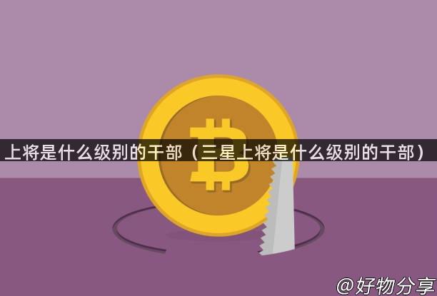 上将是什么级别的干部（三星上将是什么级别的干部）