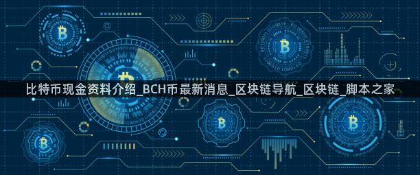 比特币现金资料介绍_BCH币最新消息_区块链导航_区块链_脚本之家