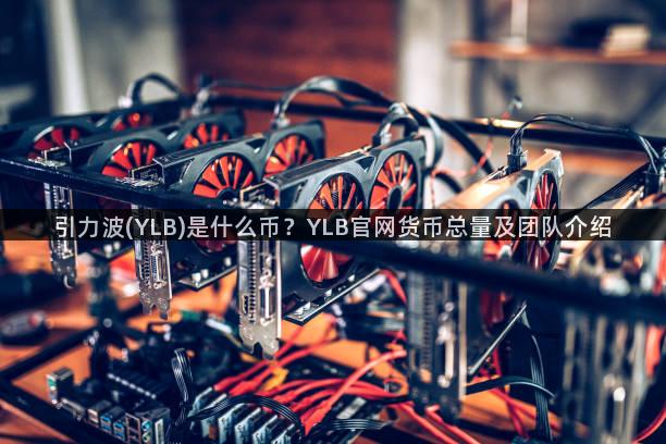 引力波(YLB)是什么币？YLB官网货币总量及团队介绍