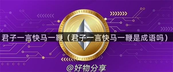 君子一言快马一鞭（君子一言快马一鞭是成语吗）