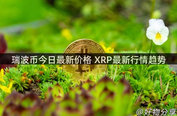 瑞波币今日最新价格 XRP最新行情趋势