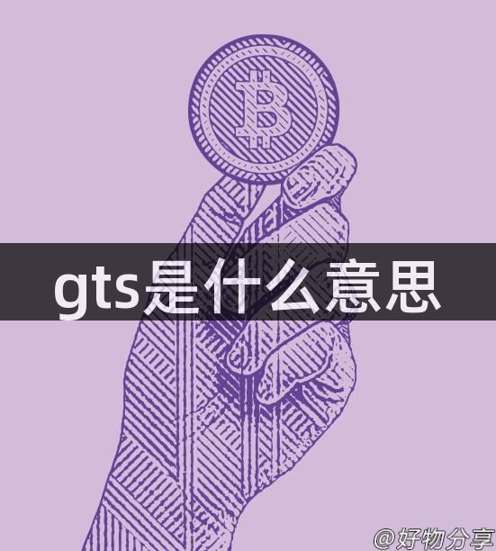 gts是什么意思